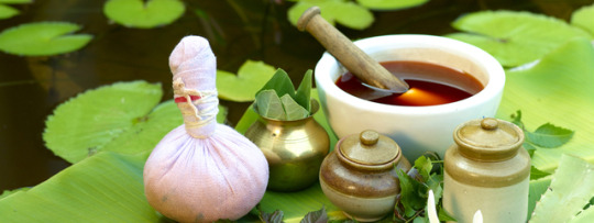 admission in BAMS Ayurvedic Colleges in Rajasthan