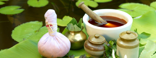 top Ranking BAMS Ayurvedic College in Haryana